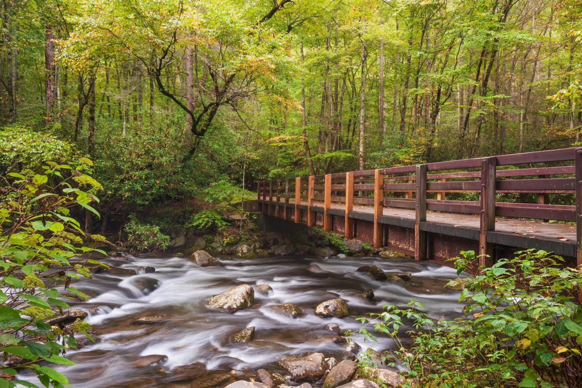 Moonshine Chalet, Hot Tub, Pool Access, Wifi, 1089 Free Tickets Each Paid Day, Dollywood And More Gatlinburg Exterior photo